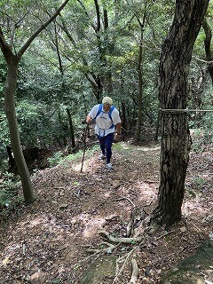 2024-07-13 10.25.31 (1)